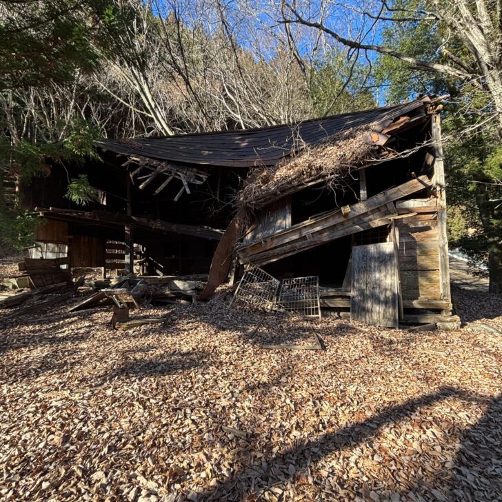 崩れ落ちそうな廃屋