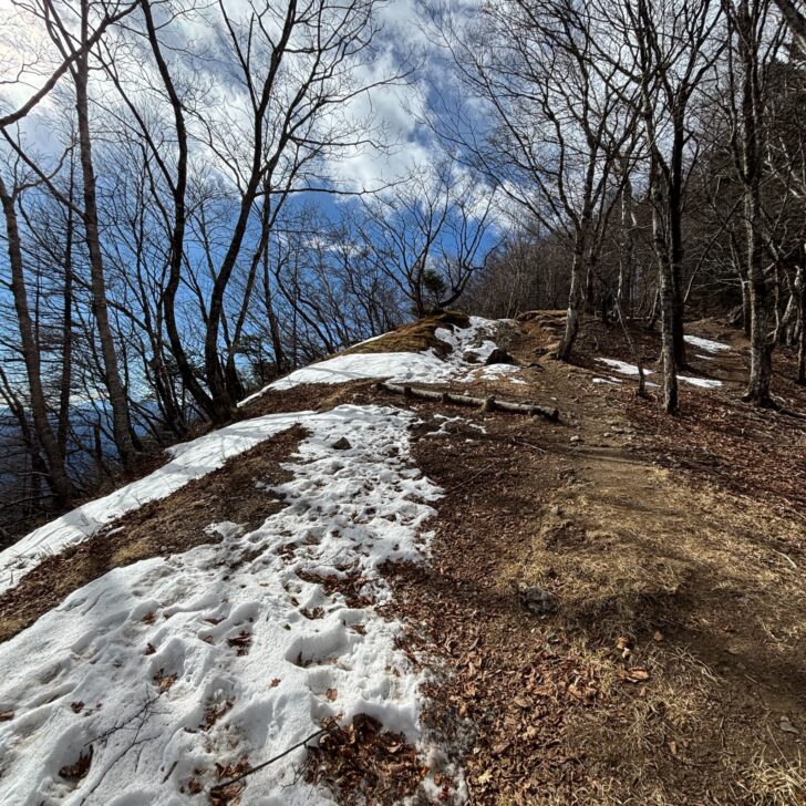 空の見える樹林帯
