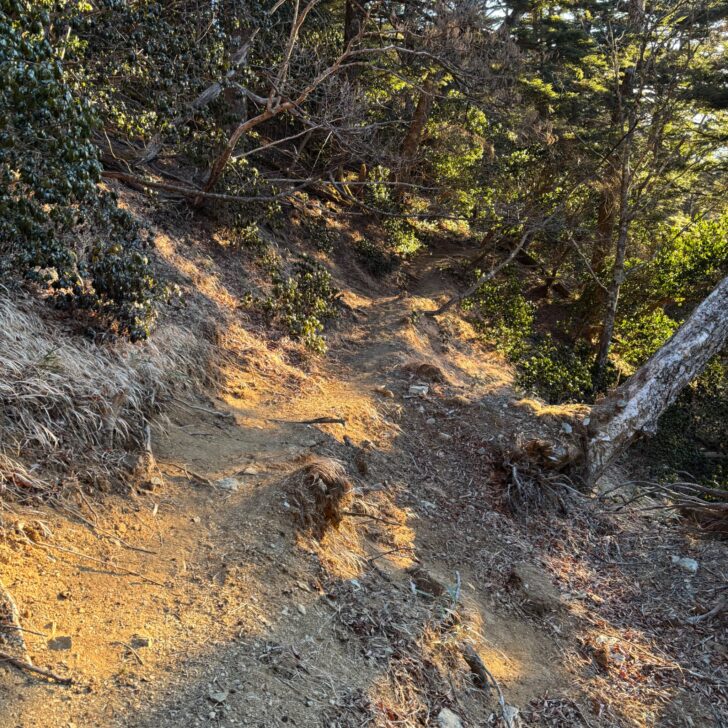 三峰方面への登山道