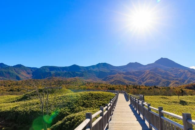 晴天の登山道