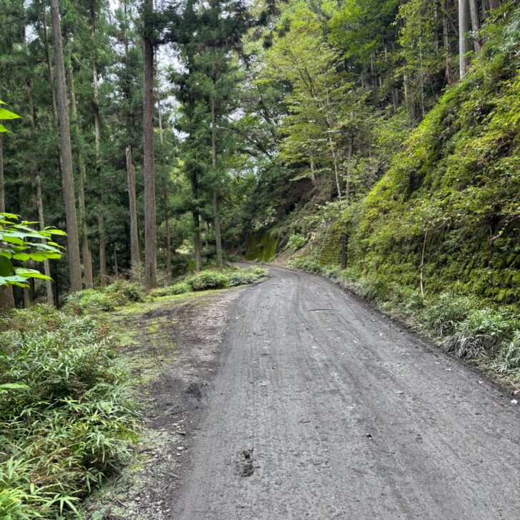 後山林道