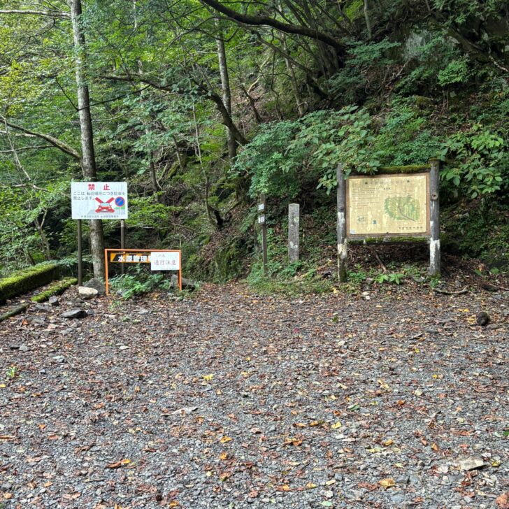 後山林道終点