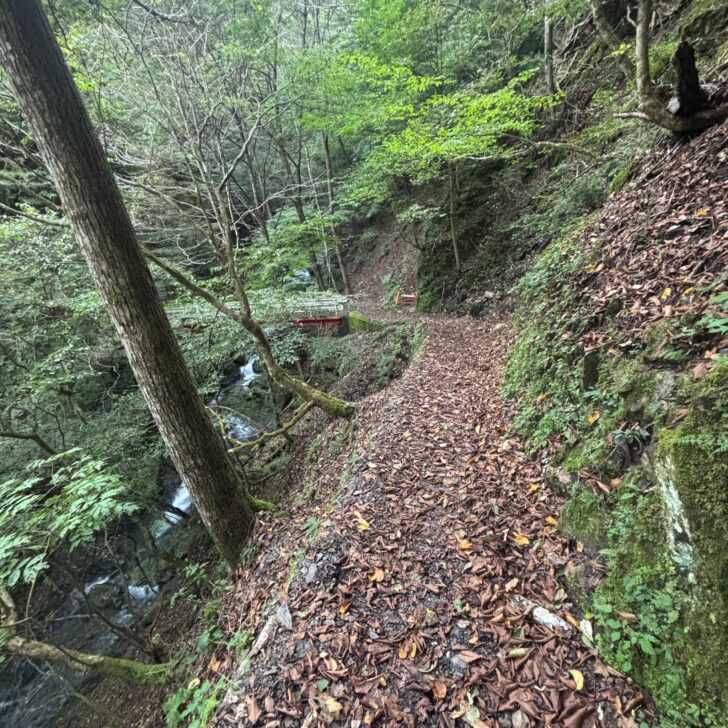 登山道