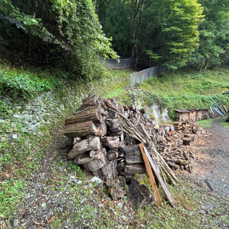 飛龍山への登山道