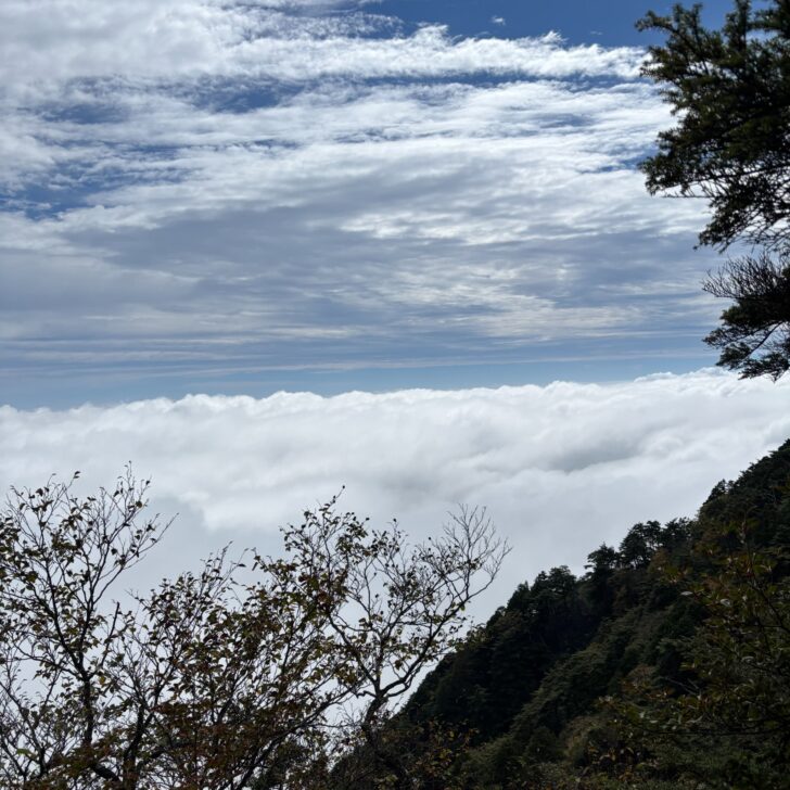 少しだけ覗いた青空