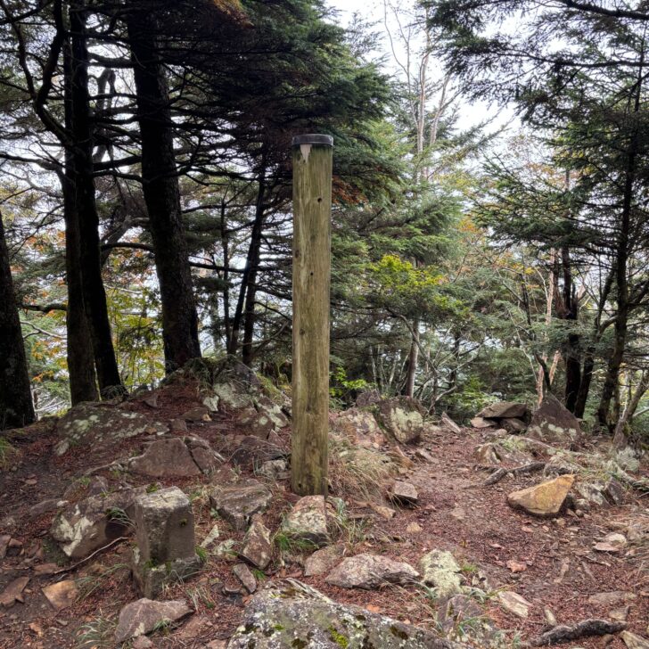 飛龍山山頂
