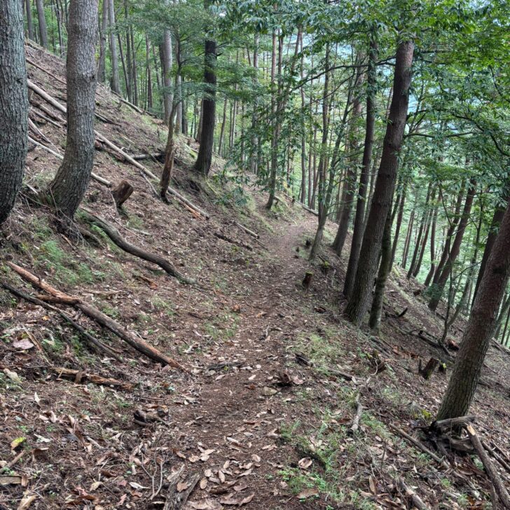 サヲラ峠から丹波への登山道